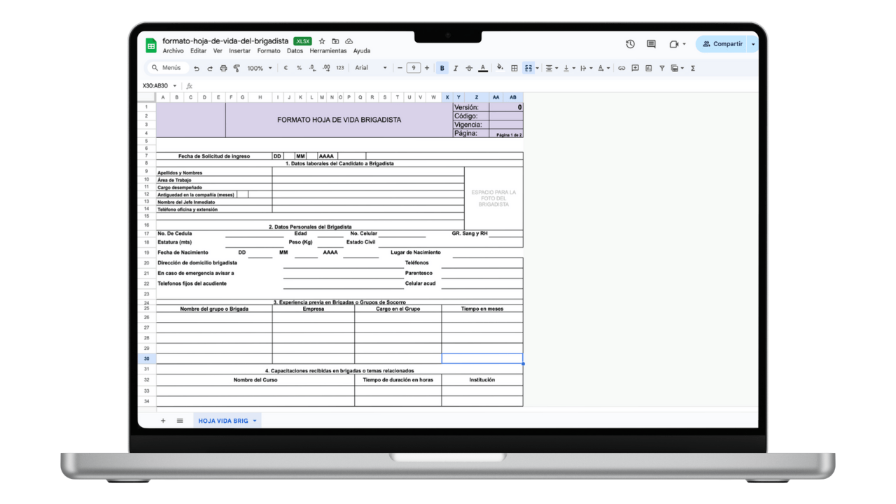 Vista previa de Formato de Hoja de Vida del Brigadista (Excel)